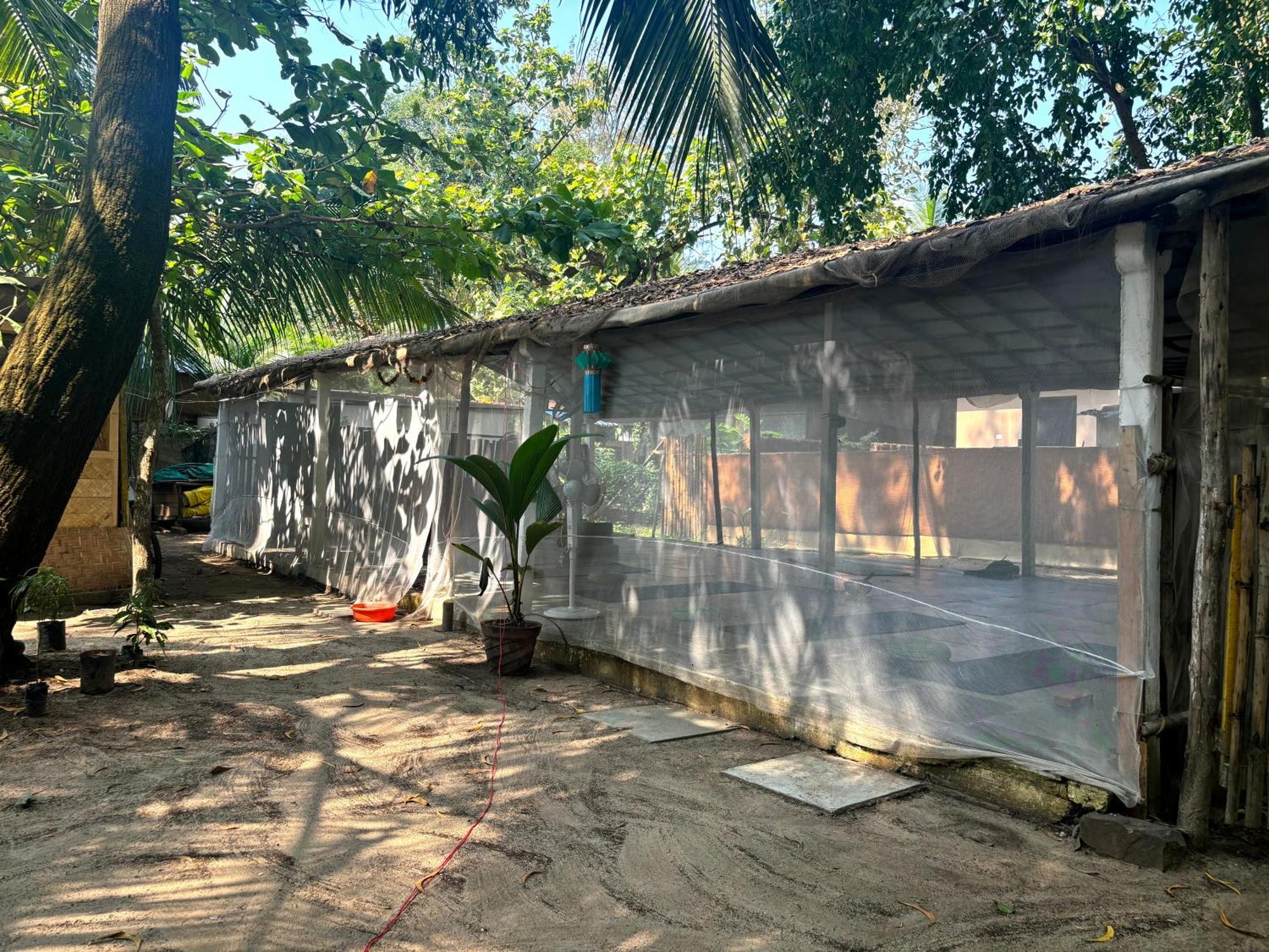 Ruban Yoga Hotel Palolem Exterior photo